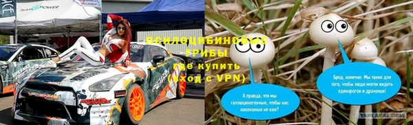 сатива Волосово