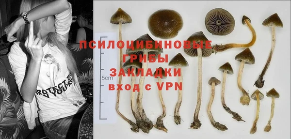 не бодяженный Верея