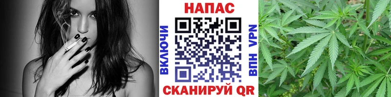 Бошки марихуана ГИДРОПОН Гаврилов Посад